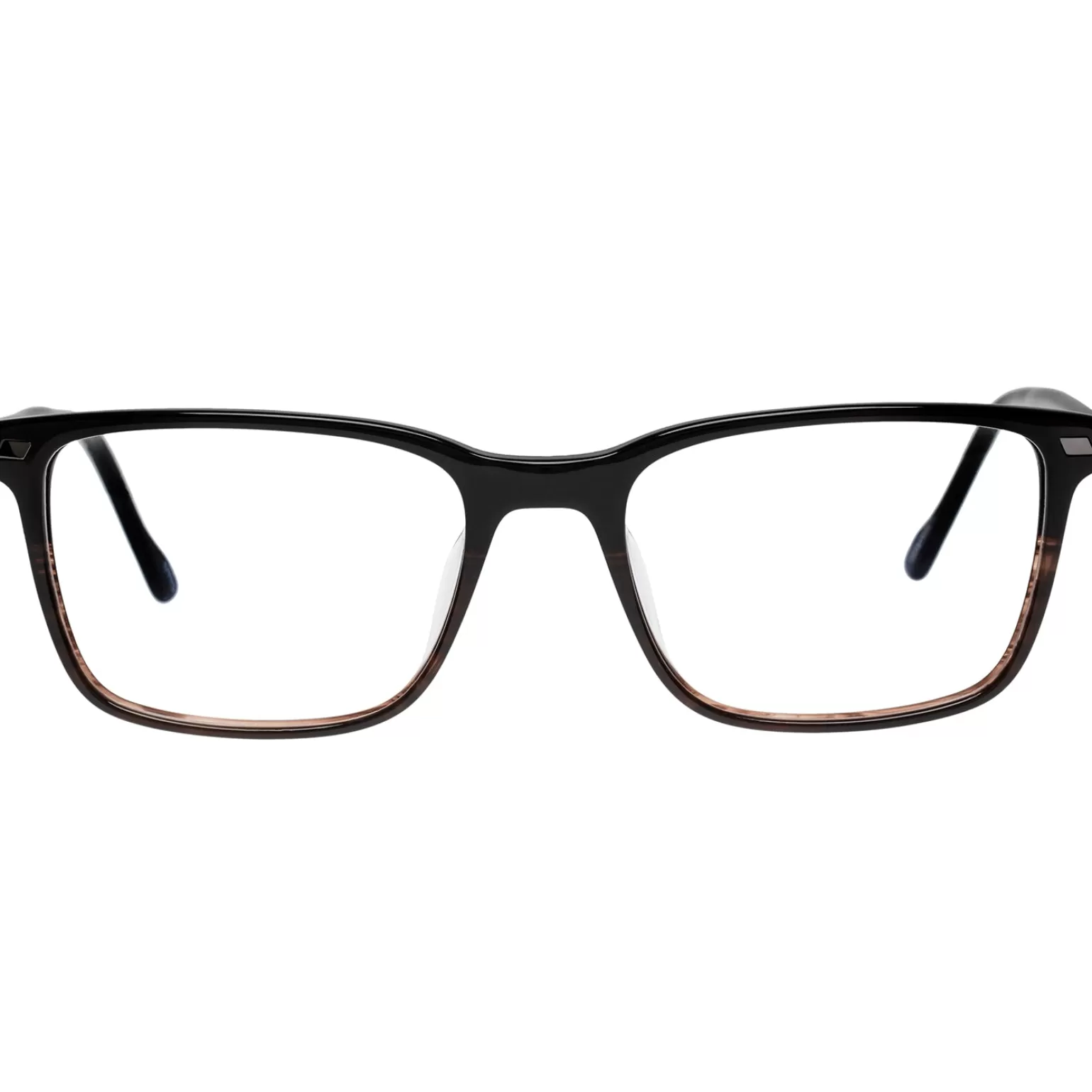 Optical*Le Specs Powder Keg Black Horn Optical